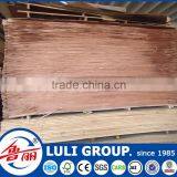 Wood Veneer Manufacturer thumbnail-1