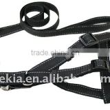 Reflective dog leash and harness