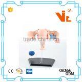 V-HM10 4D MASTER Female Uterus Model thumbnail-1