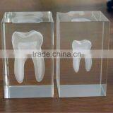 Pure Crystal Teeth Laser Engraved for Business Gift (R-0130) thumbnail-1