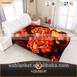 Fashion Raschel Blanket and Factory Blanket With Fleece Fabric.