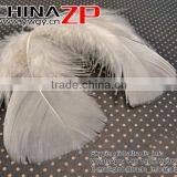 CHINAZP Good Quality Plumage Wholesale Dyed Ivory Turkey T-Base Body Feathers for Sale thumbnail-3