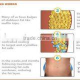 Vertical 2016 Portable Cryo Slimming Fat Freezing Liposuction Cryolipolysis Machine / Cryolipolysi Device Fat Reduce thumbnail-5