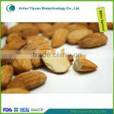 Wild Bitter Apricot Kernels thumbnail-1