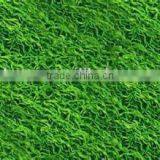 Spirulina Platensis Tablets thumbnail-4