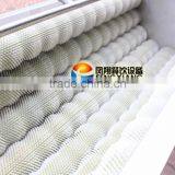 Industrial Attrition Type Vegetable And Fruit Washing Potato Peeling Machine Ginger Peeler thumbnail-5