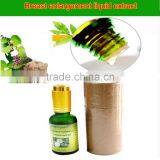 Pure Herbal Plant Extract Breast Enhancement Essential Oil for Building Perfect Breast