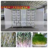 500KG/DAY Automatic heating and watering Muti-fuction Automatic bean sprout Machine (china biggest supplier)