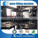 Small Capacity Good Fruit Juice Filling Equipment Price