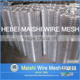 Bird Cage Galvanzied Welded Wire Mesh thumbnail-4