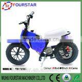 Green Power Innovative Star Cheap Sale Electric Bike thumbnail-3