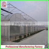 China Commercial Plastic Film Greenhouse for Sale thumbnail-4