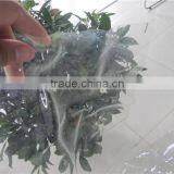 200 Micron Greenhouse Film, Transparent Greenhouse Film, Agricultural Film thumbnail-3