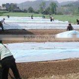 Agriculture Crop Covers Landscape and Agriculture Mulch thumbnail-1
