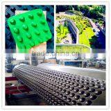 HDPE Dimple Drainage Borad With Geotextile Waterproofing for Roof Garden thumbnail-3