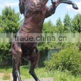 Animal Metal Bronze Garden Bronze Rearing Horse Sculpture