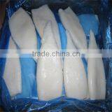 supply and process squid