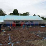 Sell Gracilaria, Eucheuma Spinosum And Eucheuma Cottoni Seaweed thumbnail-2