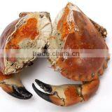 Brown Crab thumbnail-4