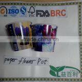 Paper Cup Flower Pot thumbnail-1