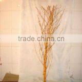 Bamboo Tree thumbnail-1