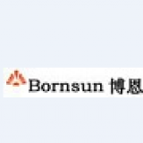 Shenzhen Bornsun Industrial Co.,Ltd company overview - view 1 thumbnail