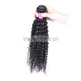 Wholesale Virgin Hair Vendors Fast Shipping Malaysian Curly Hair thumbnail-6