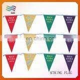 Durable Triangle Fabric Bunting Flags for Swimming Club thumbnail-3