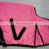 Horse Rugs thumbnail-5