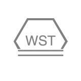 Dongguan WS Technology Co., Ltd.