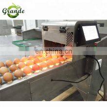 Grande Best Selling High Efficiency Automatic Egg Electric Sorting Machine thumbnail-5