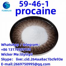 Safe Delivery to USA Canada EU Australia Brazil Procaine  procaine CAS:59-46-1 FUBEILAI