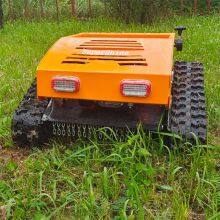 rc Remote Control Lawn Mower, China Robotic Slope Mower Price, Remote Control Mower Price for Sale thumbnail-3