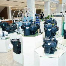 Pikes Swimming Pool 1 HP/ 2HP Single Speed Water Filtration Swimming Pool Pump Pool Waterfall Pump thumbnail-4