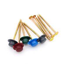 POWER Safe Top Nails Manufacturer - 30 Years Roofing Fastener Production Experience thumbnail-2