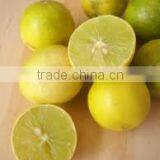 Lemon Juice thumbnail-1