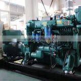 250KW Yuchai Marine Engine Diesel Generator CCS,BV Approved