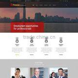 Web Portal Development