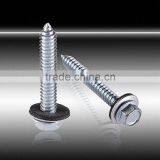 Stainless Steel Self Tapping Screw