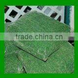 Export Dedicated MOSS