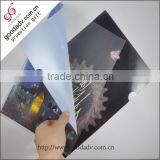 2016 China Manufacture Custom Printed a4 Size Plastic pp File Folder