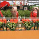 NWH13 Industrial Binding Elastic Thread of High Quality