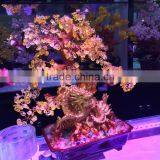 Beauteous High Quality Natural Crystal Stone Trees Decorations For Sale