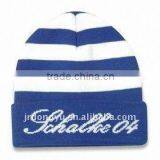 Adult Beanie Knitting Pattern