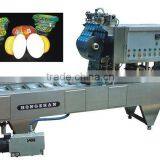 Hongzhan BG-32A Full-automatic Filling and Sealing Trays Machine thumbnail-3