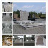 Poland Style Granite Monument