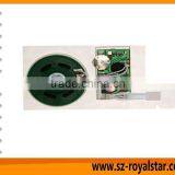 Sound Module thumbnail-1