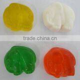 Bulk Elephant Animal Shape HALAL Gummy Candy thumbnail-1