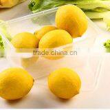 500ML RECT. TAKEAWAY FOOD CONTAINERS thumbnail-4