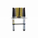 Telescopic Aluminium Ladder 10 Steps 3.2m